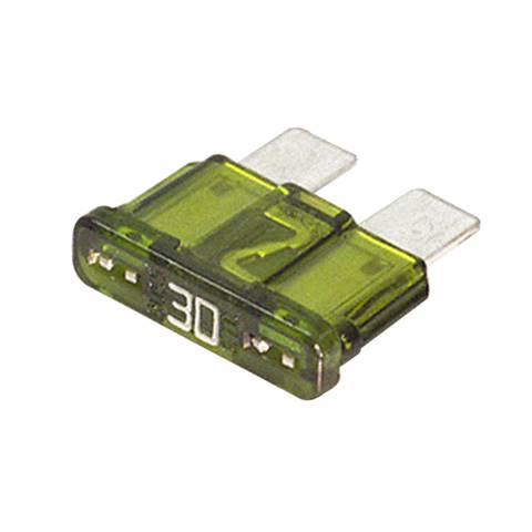 30 Amp Fuse